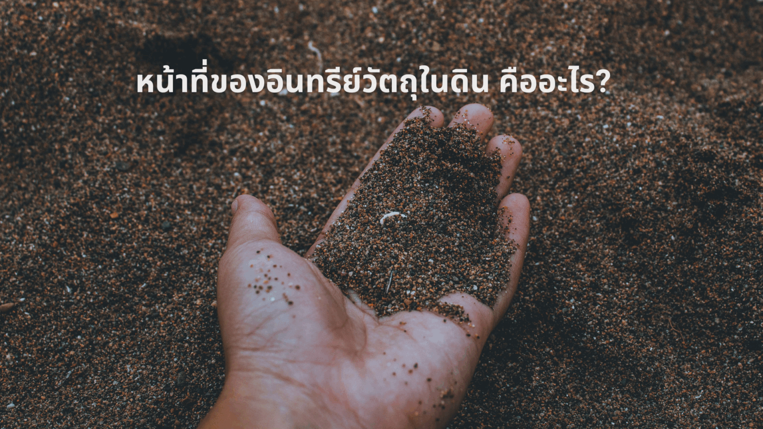ดินกับอินทรีย์วัตถุ