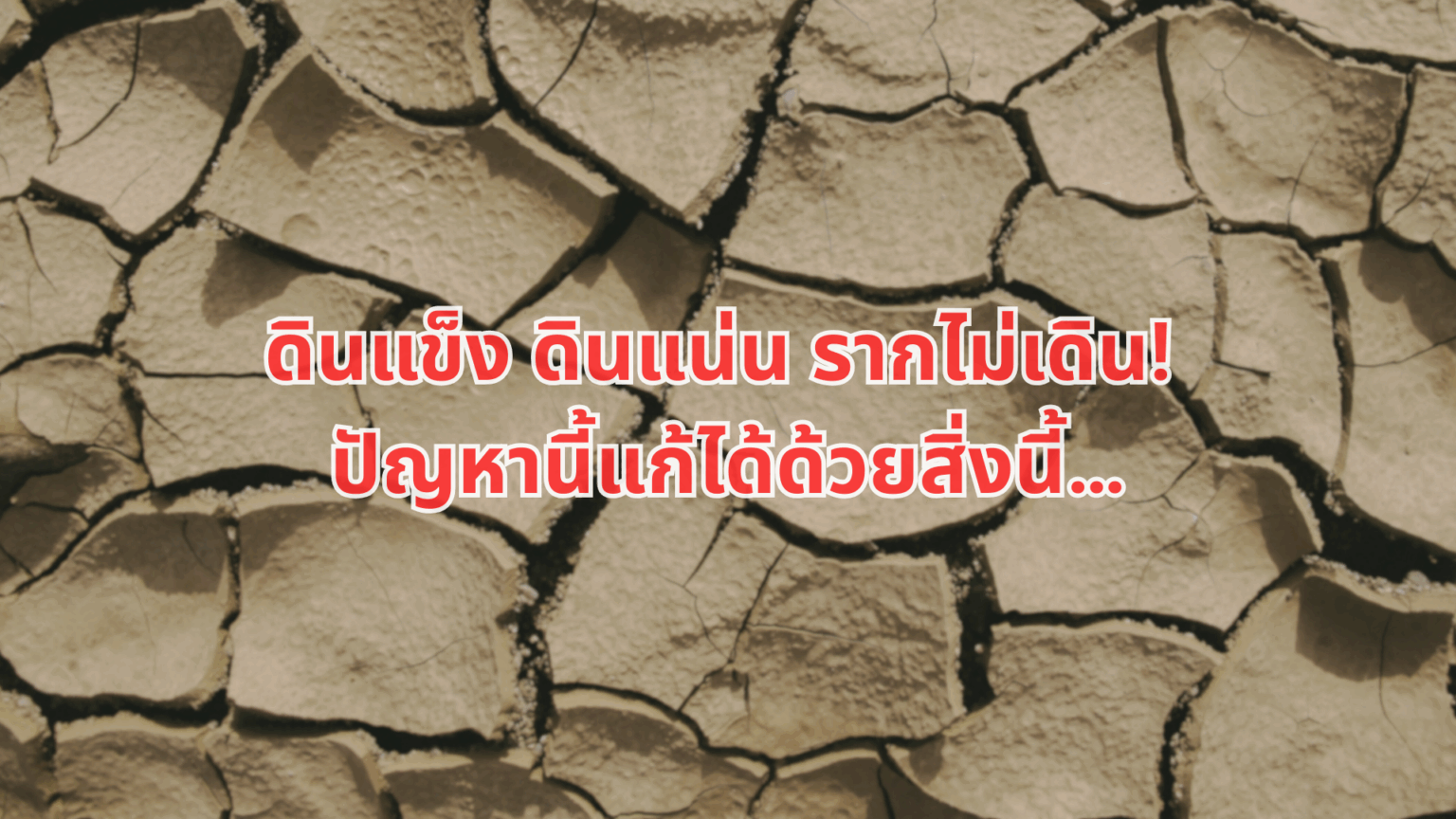 ดินเสีย ไม่อุ้มน้ำ