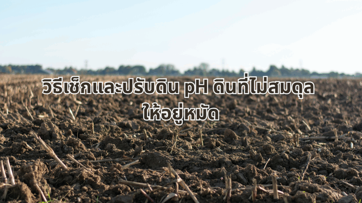 ปรับปรุงดิน บำรุงดิน