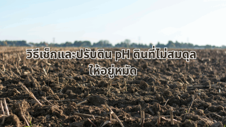 ปรับปรุงดิน บำรุงดิน