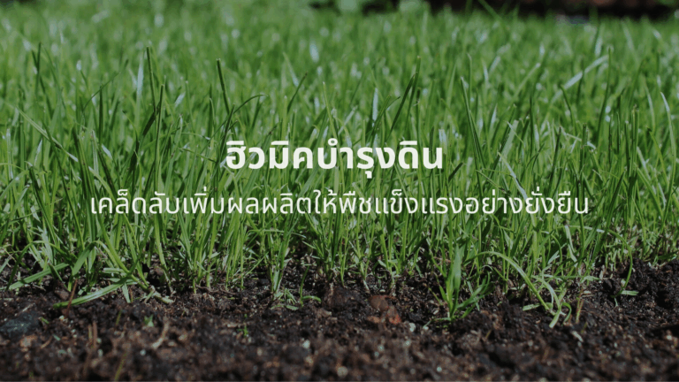 ภาพหญ้าเขียวสดเจริญเติบโตบนดินที่อุดมสมบูรณ์ พร้อมข้อความโปรโมต ฮิวมิคบำรุงดิน เคล็ดลับเพิ่มผลผลิตให้พืชแข็งแรงอย่างยั่งยืน