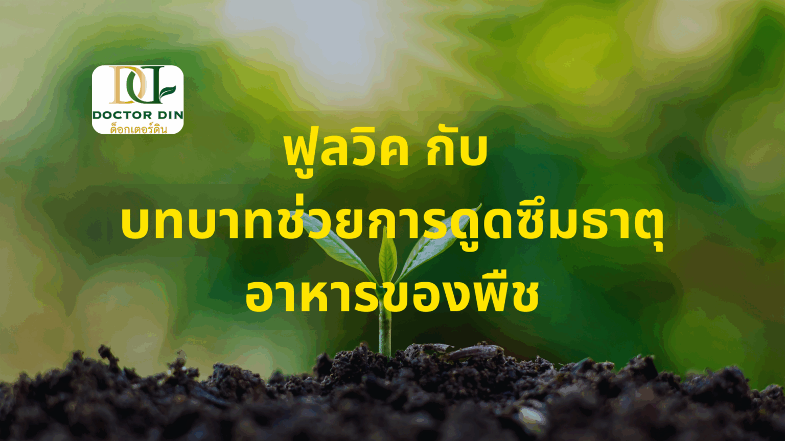 ฟูลวิค กับบทบาทช่วยการดูดซึมธาตุอาหารของพืช ช่วยเพิ่มผลผลิต