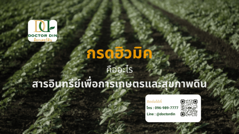 แปลงปลูกพืชในดิน พร้อมข้อความ "กรดฮิวมิคคืออะไร สารอินทรีย์เพื่อการเกษตรและสุขภาพดิน" โลโก้ Doctor Din และข้อมูลการติดต่อ