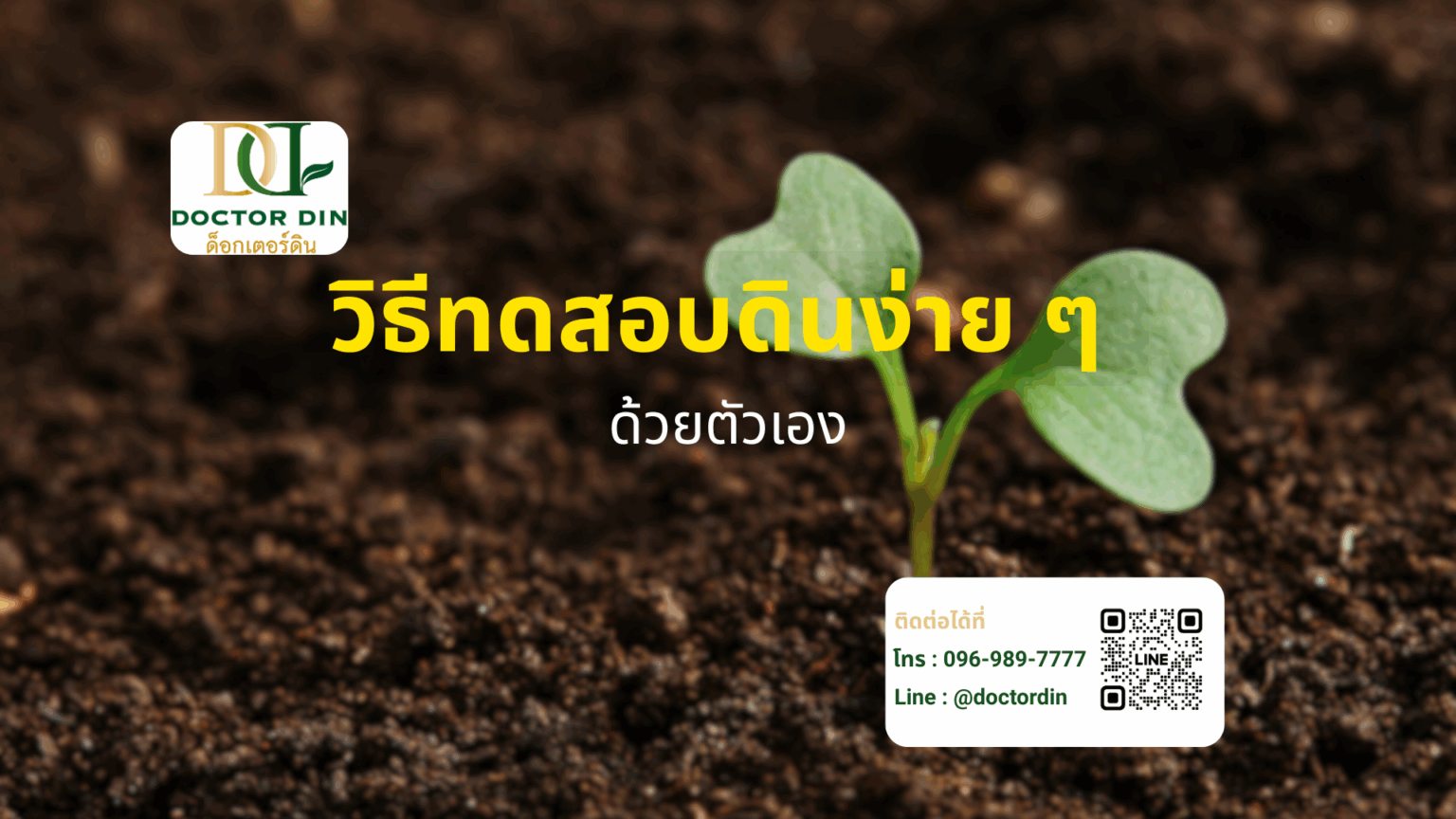 รูปต้นไม้ วัดดิน